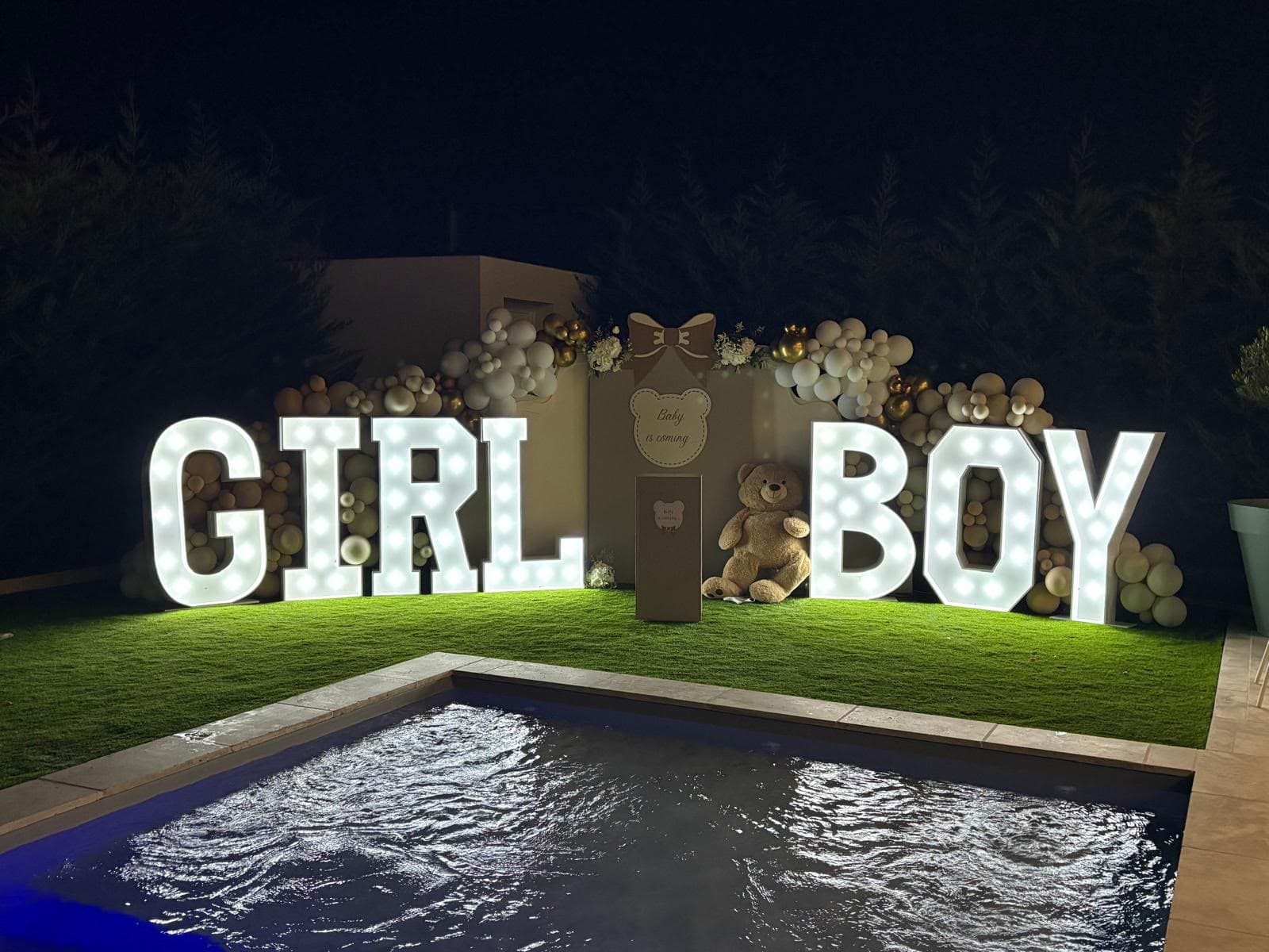 Gender Reveal - Photo 4